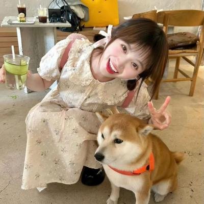 动画纪录
